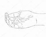 Cupped Hands Drawing Hand Illustration Female Getdrawings Empty Sketch Template sketch template