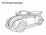 Beetle sketch template