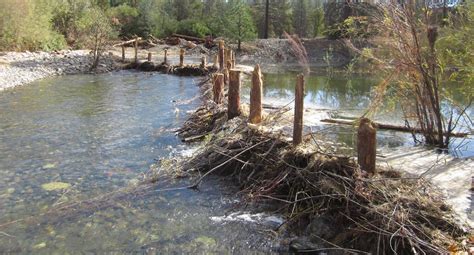 west texas  artificial beaver dam repairs  desert gully  reverses erosion