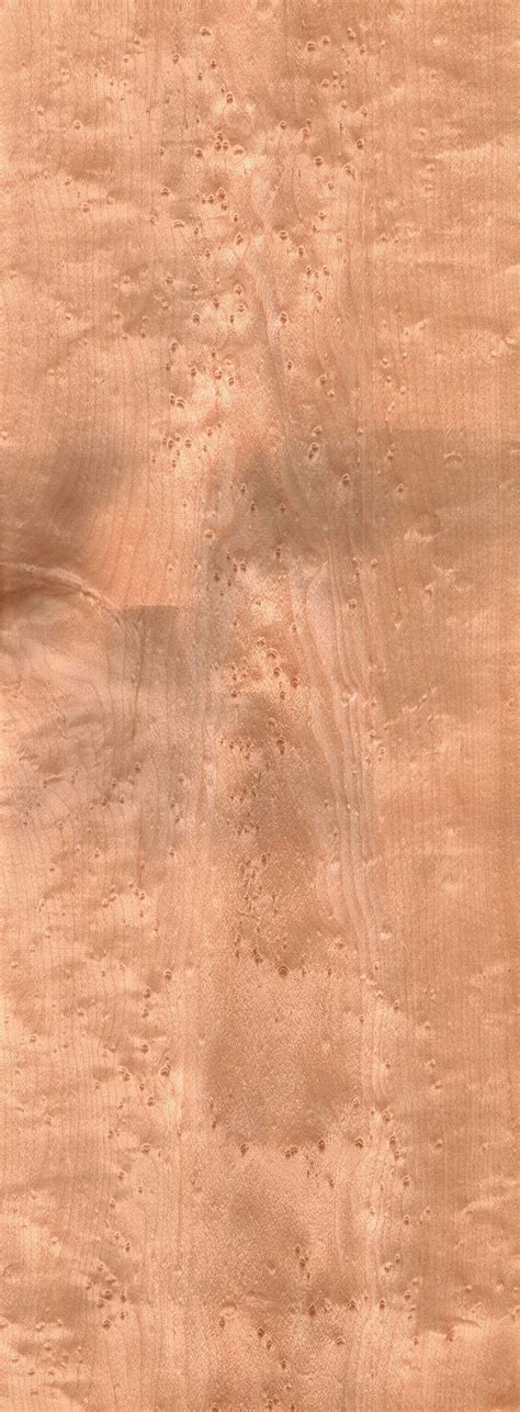 birdseye maple  wood  lumber identification hardwood