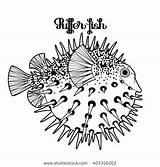 Fish Puffer Coloring Getcolorings Getdrawings Pufferfish Printable Drawing Print Pages Color sketch template