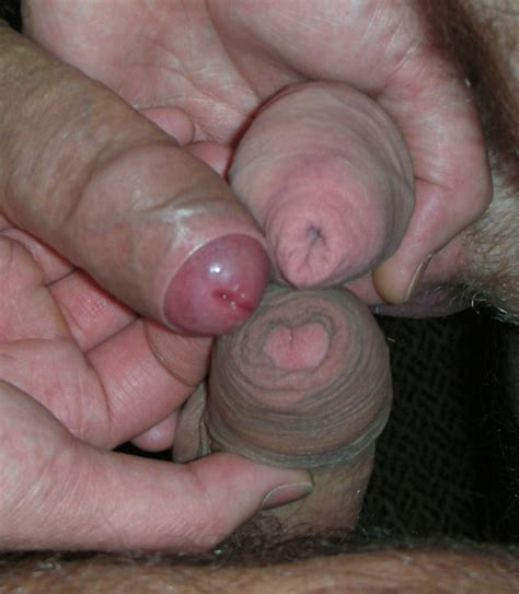 uncircumcised cock porn nouveau porno