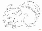 Coloring Pages Chinchilla Chinchillas Cute Tailed Long Drawing Getcolorings Color Kids Categories sketch template