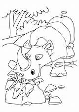 Nashorn Rhinozeros Ausmalbilder Letzte sketch template