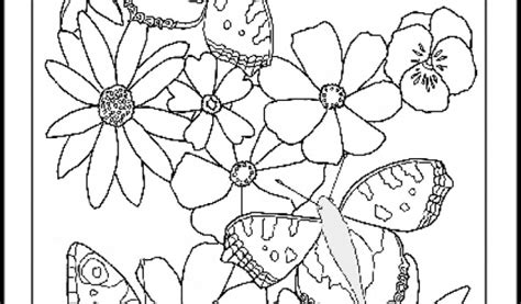 blank coloring pages  toddlers mhts