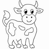 Coloring Cow Kids Pages sketch template