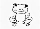 Frog Broscuta Frogs Tadpole Desene Colorat 101activity Clipartmag sketch template