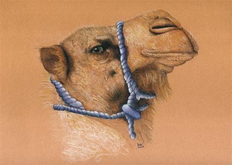 images  camels  art  pinterest pottery roman
