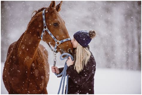 ein spannendes shooting mit pferd im schneegestoeber pamela berger