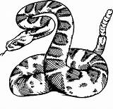 Schlangen Serpientes sketch template