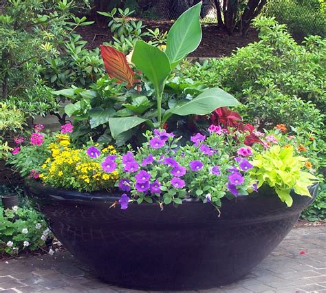 large sun container garden   pot pinterest
