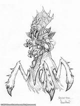 Warcraft Nerubian Lich Concept Elder Wrath Vizier Wowwiki sketch template