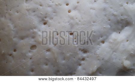 leavened dough image photo  trial bigstock