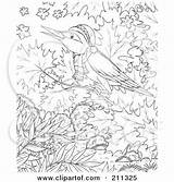 Coloring Winter Bird Tree Clipart Outline Illustration Royalty Rf Bannykh Alex Regarding Notes sketch template