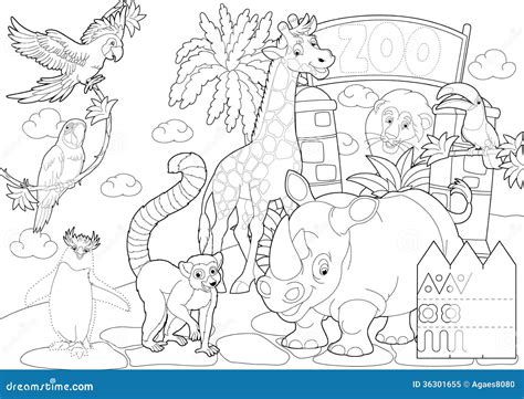 coloring page  zoo illustration   children stock