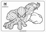Spiderman Coloring sketch template