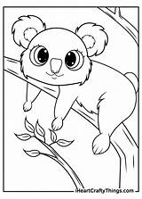 Koalas Koala Iheartcraftythings Mischievous Deeply Able Sleep Smile sketch template