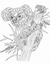 Koala Kleurplaat Kleurplaten Schattige Panda Volwassenen Malvorlagen Zentangle Moeilijk Tiere Printen Possum Omnilabo Barbara Wildlife Pixel Downloaden Bezoeken Erwachsene sketch template