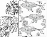 Coloring Nautical Pages Adult Printable Whale Sheet Colouring Getdrawings Print sketch template
