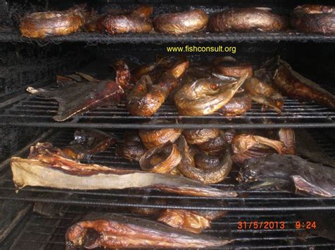 fish smoking practices  thirteen african asian  european