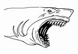 Requin Dents Requins Sharks Jaws Jit Goo Coloriages Enfants sketch template