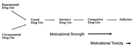 a continuum of drug use illustrating the progression from casual drug