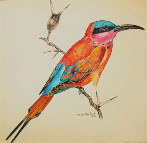Beautiful Bird Drawing By Michelle Hand