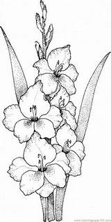 Gladiolus Coloriage Colorir Bunga Blackline Gladiolen Larkspur Kwiaty Mandala Skizzen Blumenzeichnung Zeichenvorlagen Gladiolos Gladiolas Kidipage Ausmalbilder Malen Kertas Mewarna Pinnwand sketch template