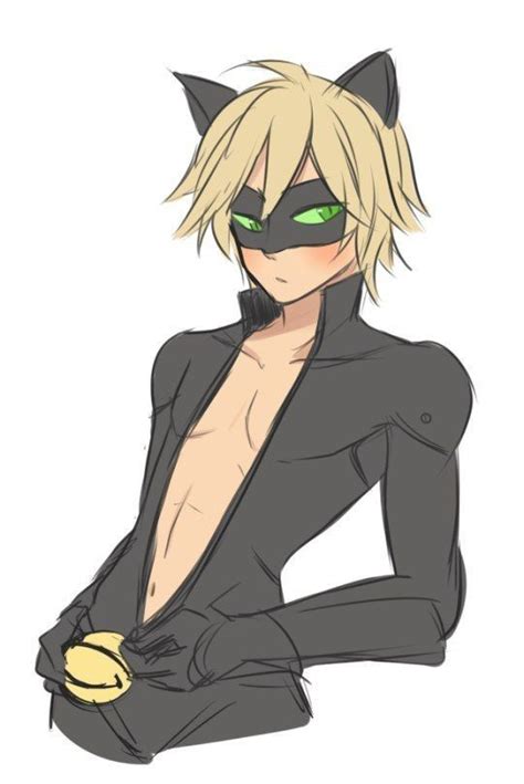 Sexy Chat Noir Mlb In 2019 Pinterest Miraculous