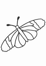 Papillon Hugolescargot Ailes Ses sketch template