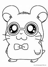 Coloring Cartoon Pages Printable Hamtaro Color Character Kids Sheets Found sketch template