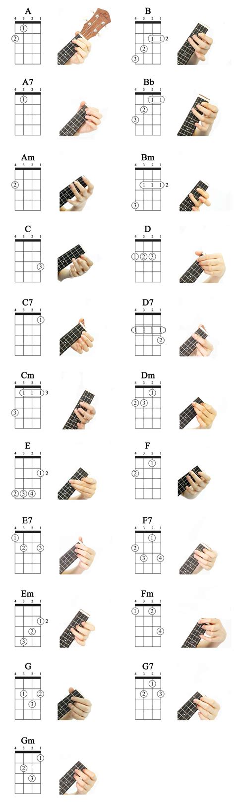 ukulele basic  ukulele chords  beginning players