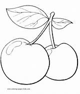 Cerezas Kirschen Vegetable Simple Frutas Cherries Drus Pintar Moldes Mariposas Granadas Frutillas Limones Uvas Visit sketch template