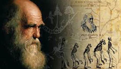 evoluzionismo le teorie dellevoluzione