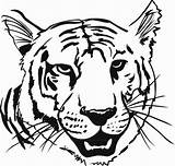 Tiger Coloring Pages Head Print Face Tigers Kids Printable Drawing Animal Color Heads Bengal Book Tigre Faces Sheets Colorier Coloriage sketch template