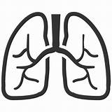 Lung Lungs Pulmonary Pulmonology sketch template