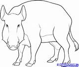 Wild Boar Hog Coloring Pages Drawing Sanglier Dessin Draw Big Step Getcolorings Imprimer Outlines Pixels Printable Drawn Many Color Choisir sketch template