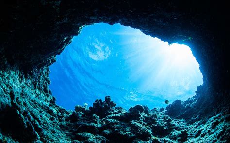 la  grande grotte sous marine du monde decouverte au mexique