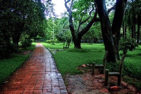 ramna park a place of greenery the asian age online bangladesh