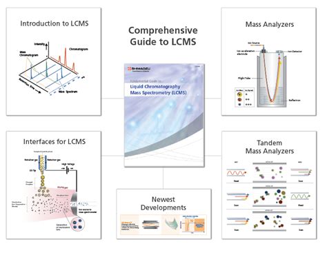 fundamental guide  lcms