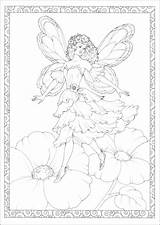 Coloring Fairies Enchanted Book Haven Creative sketch template