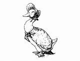 Jemima Duck Puddle Pages Coloring Beatrix Potter Clip Template Nini Vintage Amour sketch template