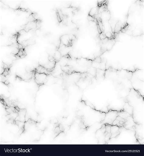 white marble texture background royalty  vector image