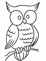 Coloring Owl Pages Print Getcolorings Color Printable sketch template