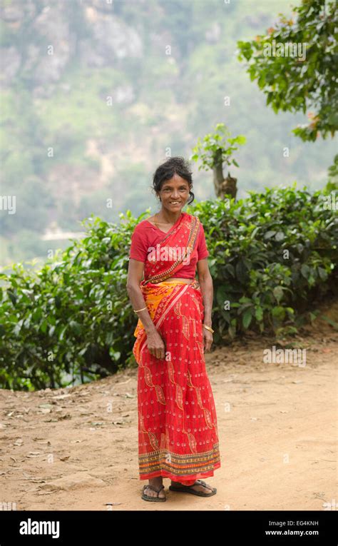 Eine Tamilische Frau Ella Dorf Sri Lanka Stockfotografie Alamy