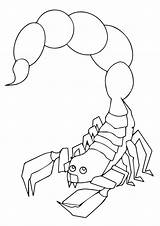 Scorpion Coloring Deathstalker Pages Printable Popular Categories Books sketch template