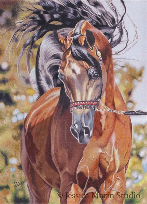 horse drawing colored pencil jessica morin art horses