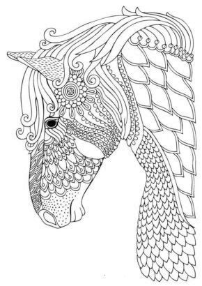 horse coloring book pages  adults book  kids