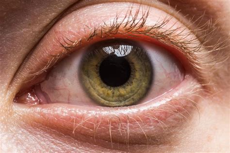 These Macro Photos Reveal The Awesome Diversity Of Human Eyes Huffpost
