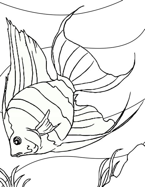 printable fish coloring pages  kids